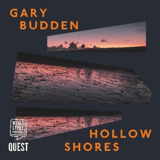book cover for Hollow Shores